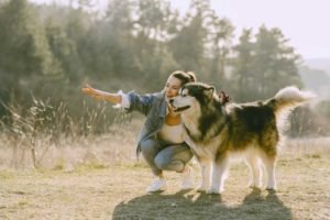 Run with husky