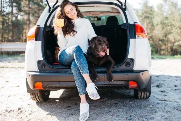Reasons Why Dogs Fear Car Rides And How To Overcome It