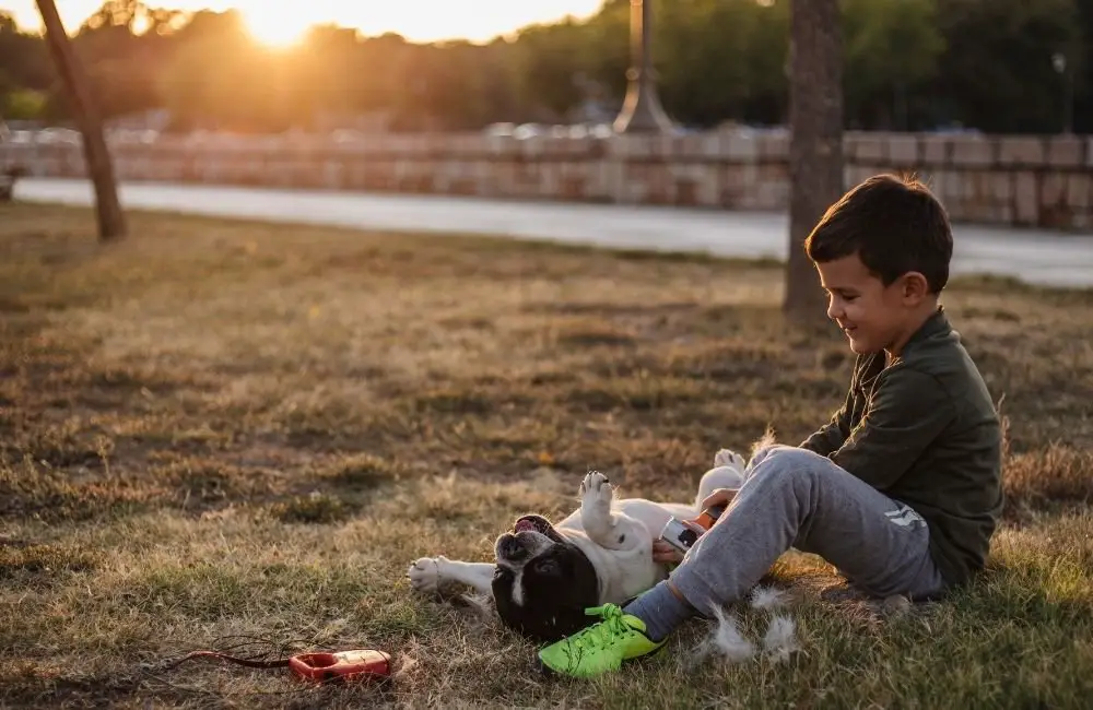 Why Frenchies are good for kids?