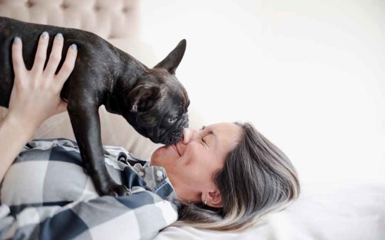 Are French Bulldogs Good For Seniors, Retirees, And Older People