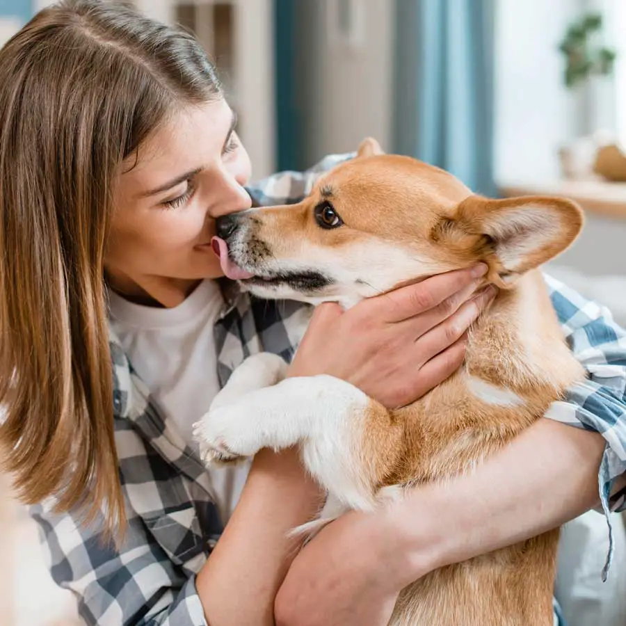 10 Surprising Facts About Dog Kisses - AtractivoPets