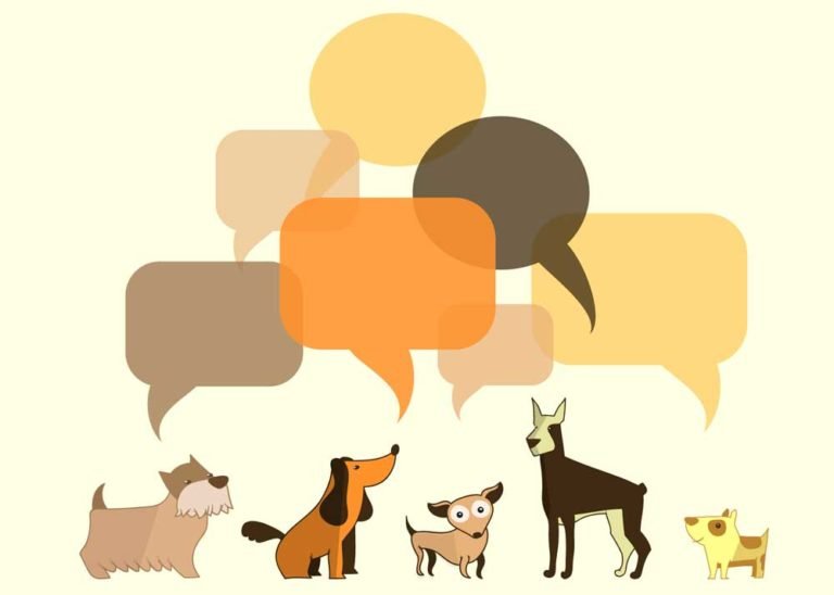 How Do Dogs Communicate With Each Other?