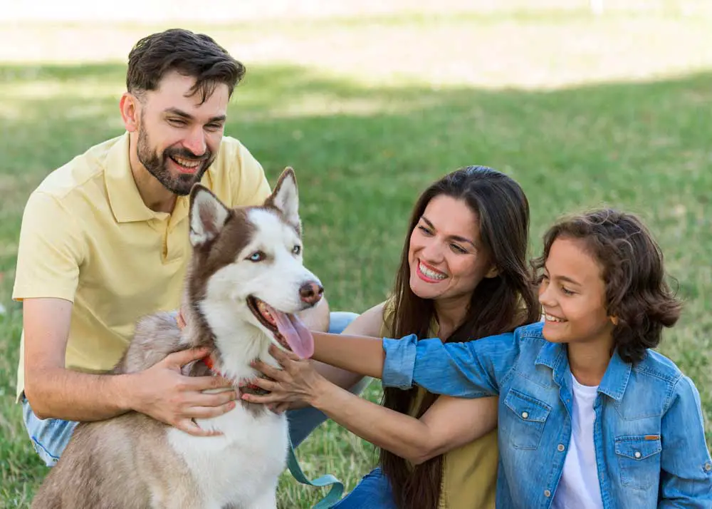 Dog open his mouth