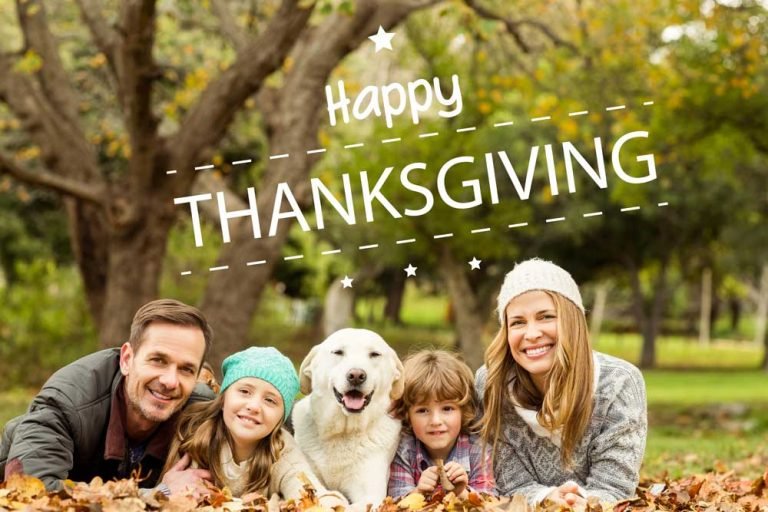 10 Fun Activities To Do With Dogs On Thanksgiving