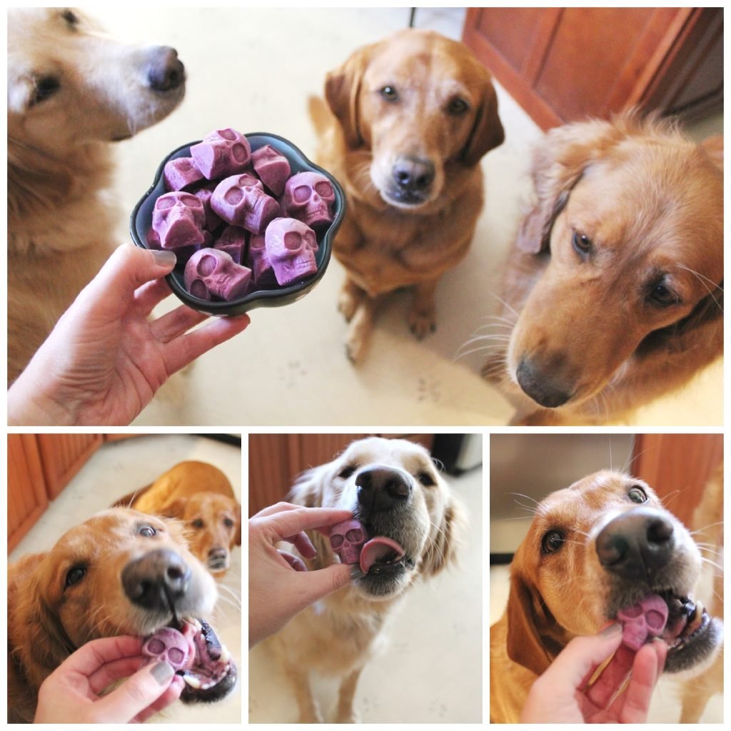 Frozen Blueberry Skull Treats