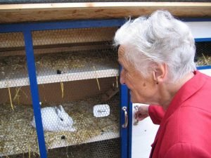 Rabbit Hutch