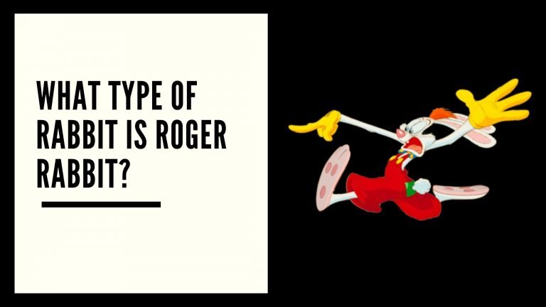 What Type Of Rabbit Is Roger Rabbit?