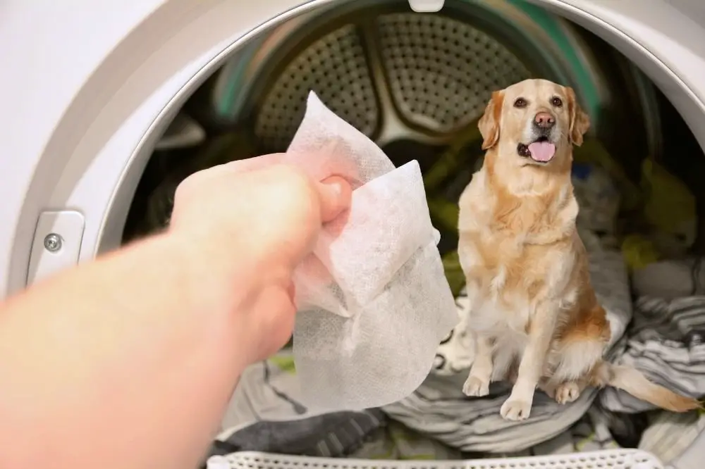 Dryer Sheet are toxic for dog