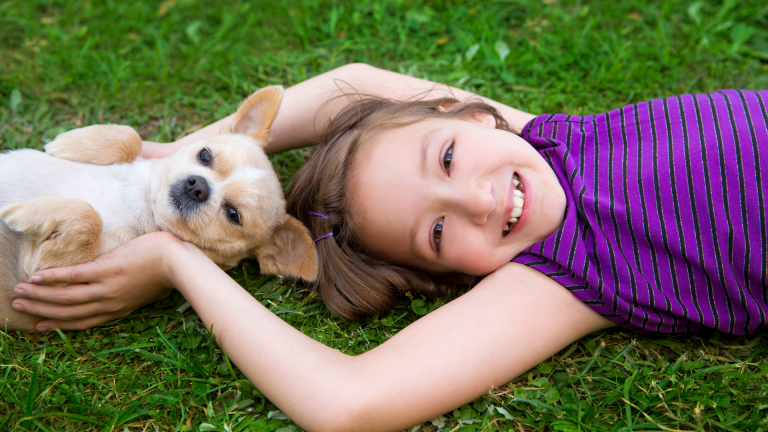 Are Chihuahuas Good With Kids? [Parent’s Guide]