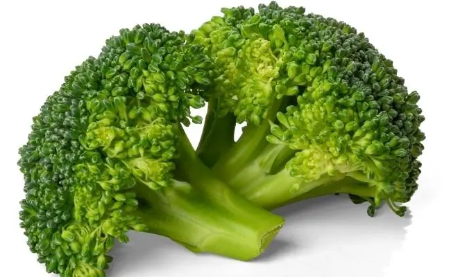 What is Broccoli?