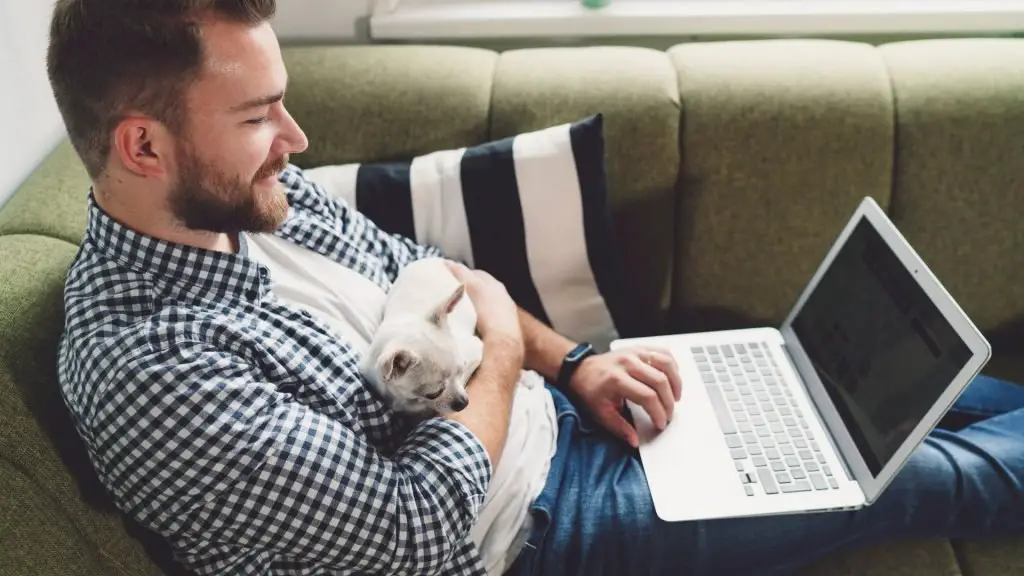 chihuahua cuddling owner