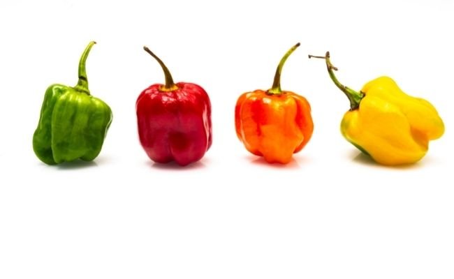 Does Bell Pepper Color Matter
