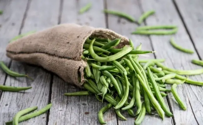 Nutritional Value of Green Beans