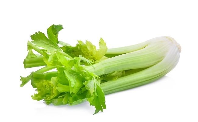 Celery Quantity for hamsters