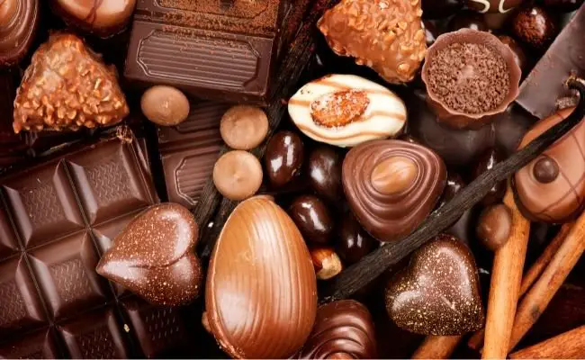 Are All Chocolates Dangerous for Dogs?