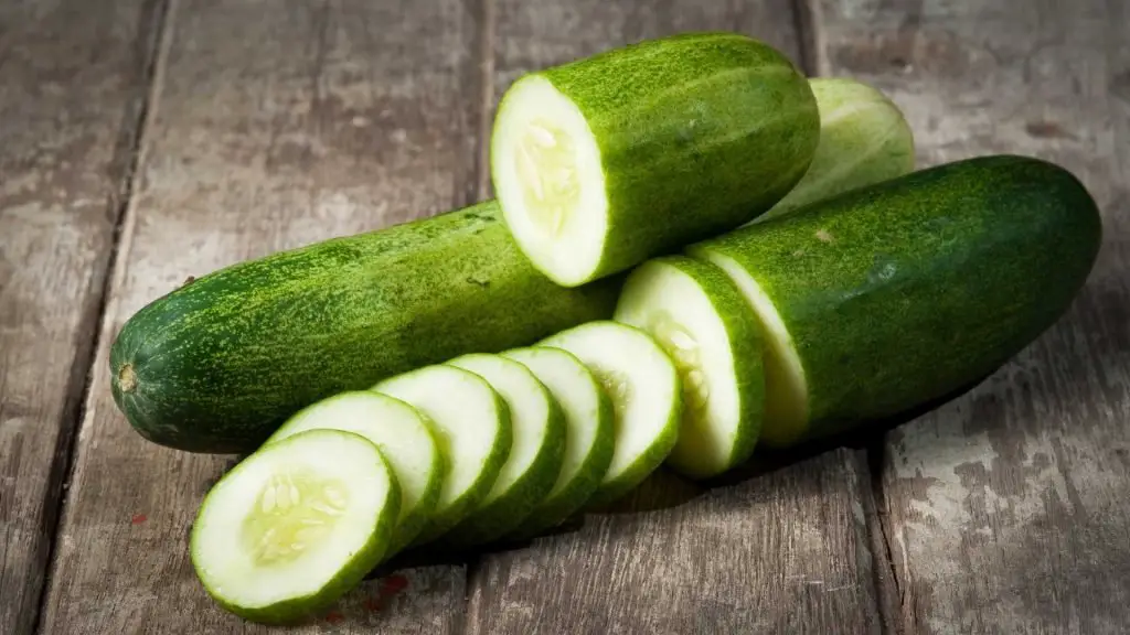 Health Benefits of Cucumbers to your Chihuahua
