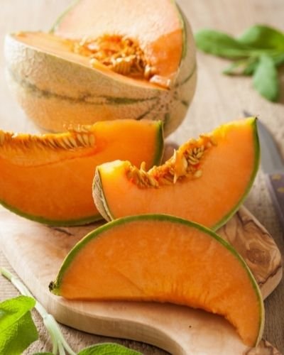 cantaloupe