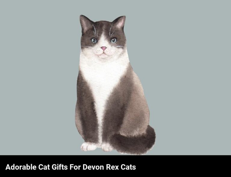 Unique Gifts For Your Devon Rex Cat | Adorable Cat Gifts