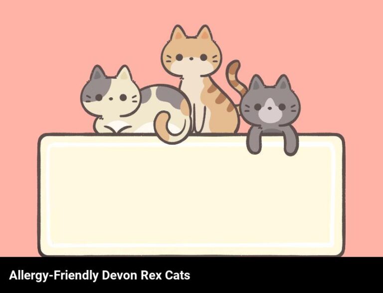 Allergy-Friendly Devon Rex Cats: A Purrfect Solution For Allergies