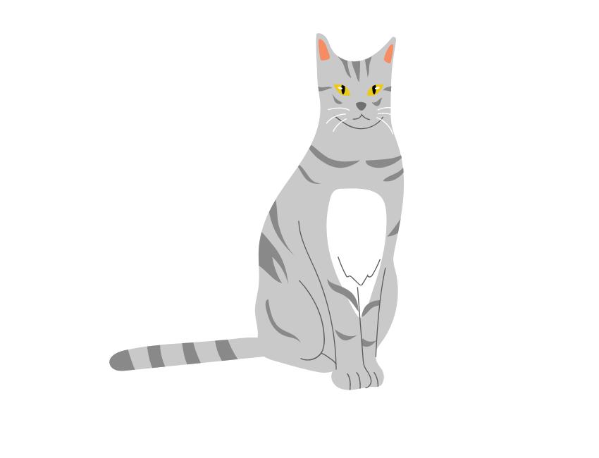 Find Your Purr-fect Devon Rex Cat in Washington State