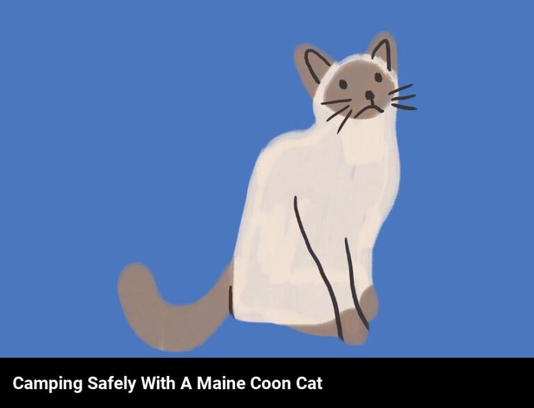 How To Keep Your Maine Coon Cat Safe On Camping Trips