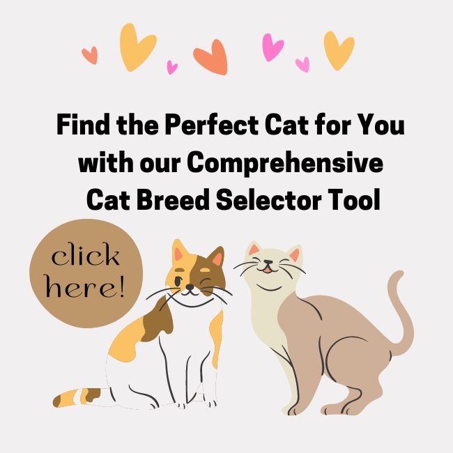 Cat Breed Selector 
