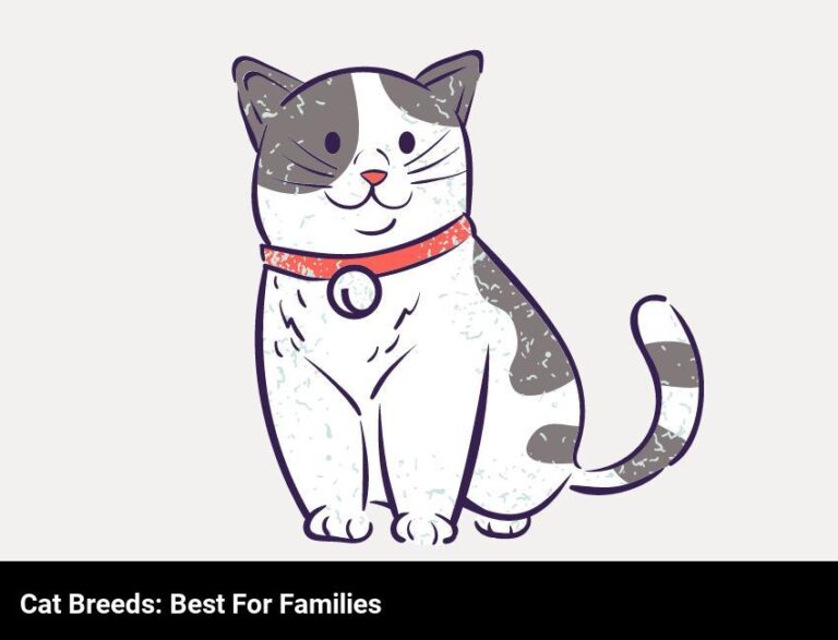 Choosing The Right Cat Breed For Your Family