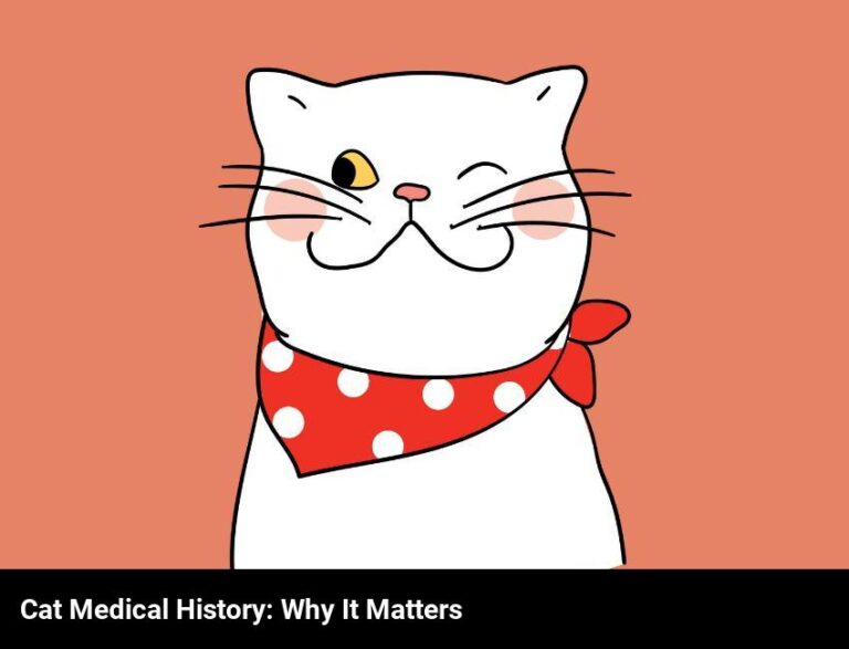 The Importance Of Knowing Your Cat’S Medical History