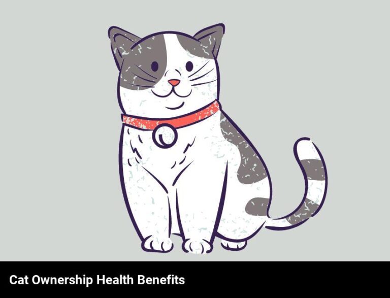 The Health Benefits Of Owning A Cat