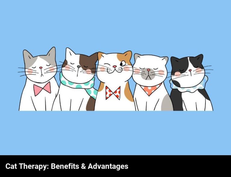 The Benefits Of Cat Therapy