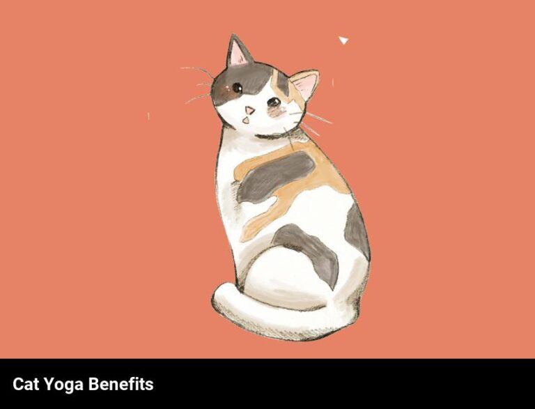 The Benefits Of Cat Yoga