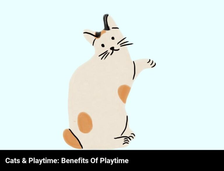 The Importance Of Playtime For Cats