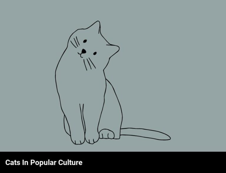 The Role Of Cats In Popular Culture