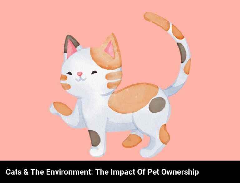 The Environmental Impact Of Keeping Cats As Pets