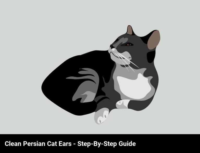 How To Clean Persian Cat Ears: A Step-By-Step Guide