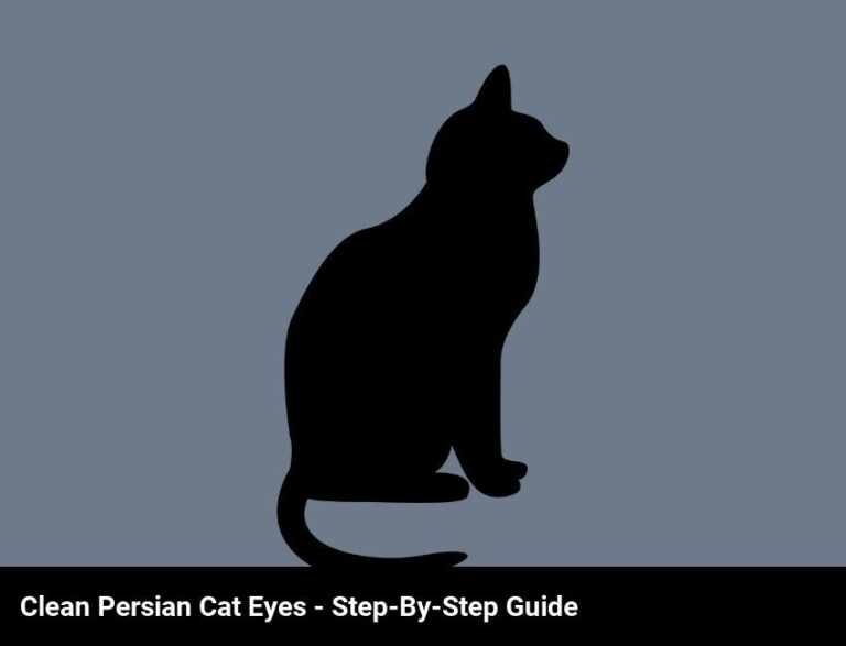 How To Clean Persian Cat Eyes: A Step-By-Step Guide