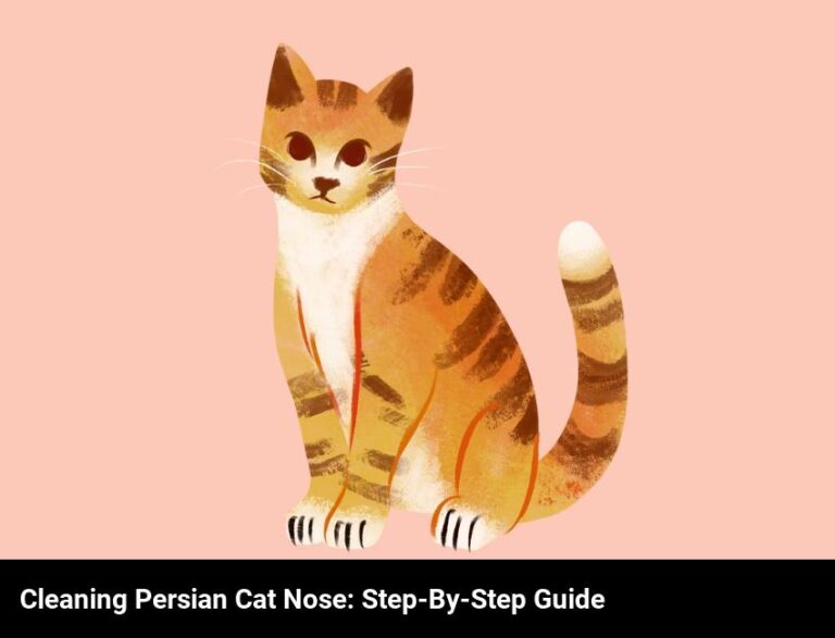 Cleaning Your Persian Cat’s Nose: Step-By-Step Guide