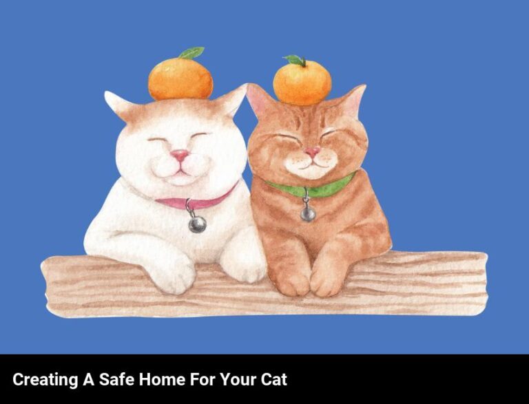 Creating A Comfortable And Safe Home For Your Cat