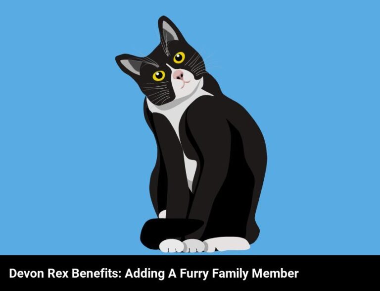 The Advantages Of Having A Devon Rex In Your Family