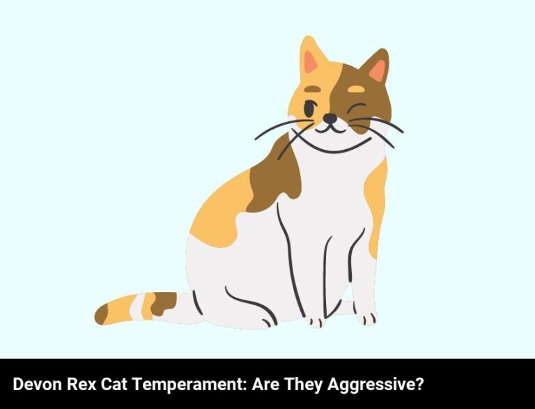 Are Devon Rex Cats Aggressive? – Learn About Their Temperament Here