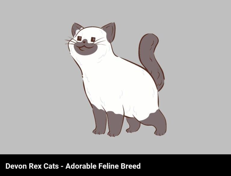 Devon Rex Cats: Meet The Unique And Adorable Feline Breed