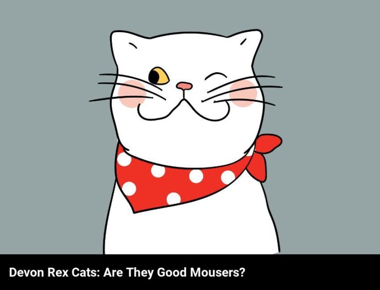 Are Devon Rex Cats Good Mousers? | The Ultimate Guide