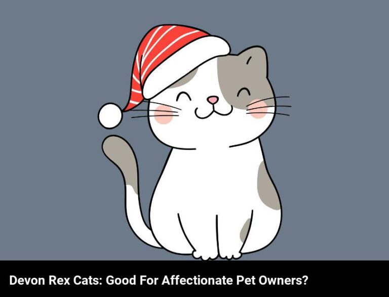 Are Devon Rex Cats A Good Choice For An Affectionate Pet?
