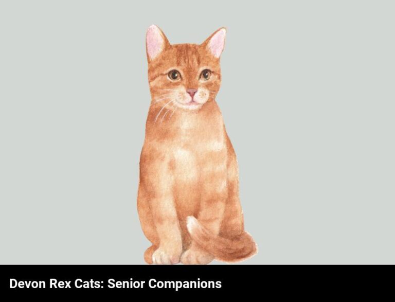 Devon Rex Cats: The Purrfect Senior Companion