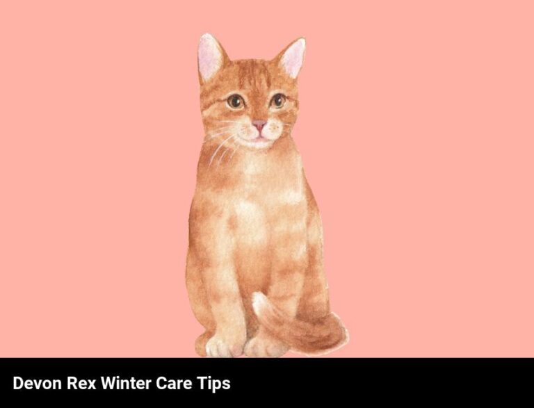 What You Need To Know About Keeping Devon Rex Cats Warm In Winter