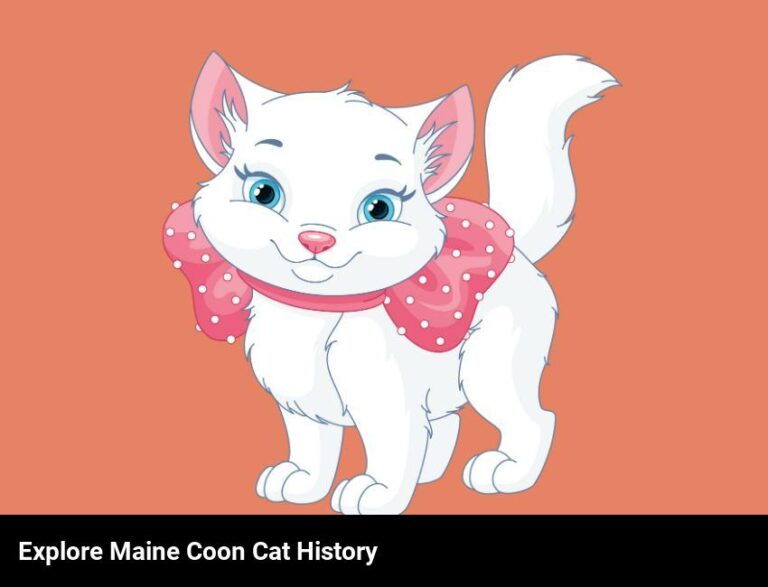 Discover The Fascinating History Of The Maine Coon Cat