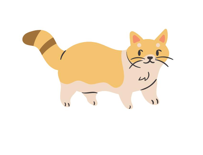 Get the Purrfect Pet: The Devon Rex Cat for Apartment Living