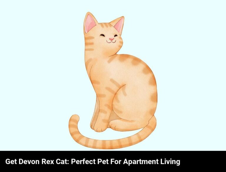 Get The Purrfect Pet: The Devon Rex Cat For Apartment Living