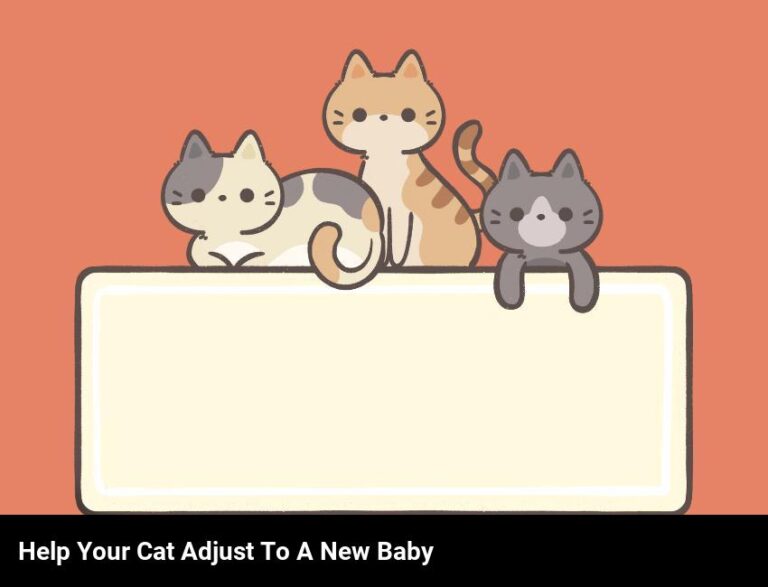 How To Help Your Cat Adjust To Life With A New Baby
