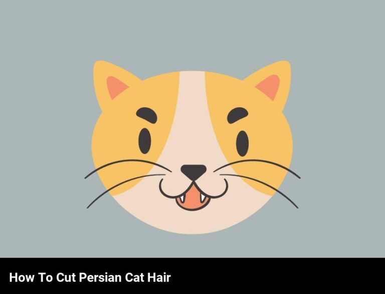 Cutting Persian Cat Hair: A Step-By-Step Guide